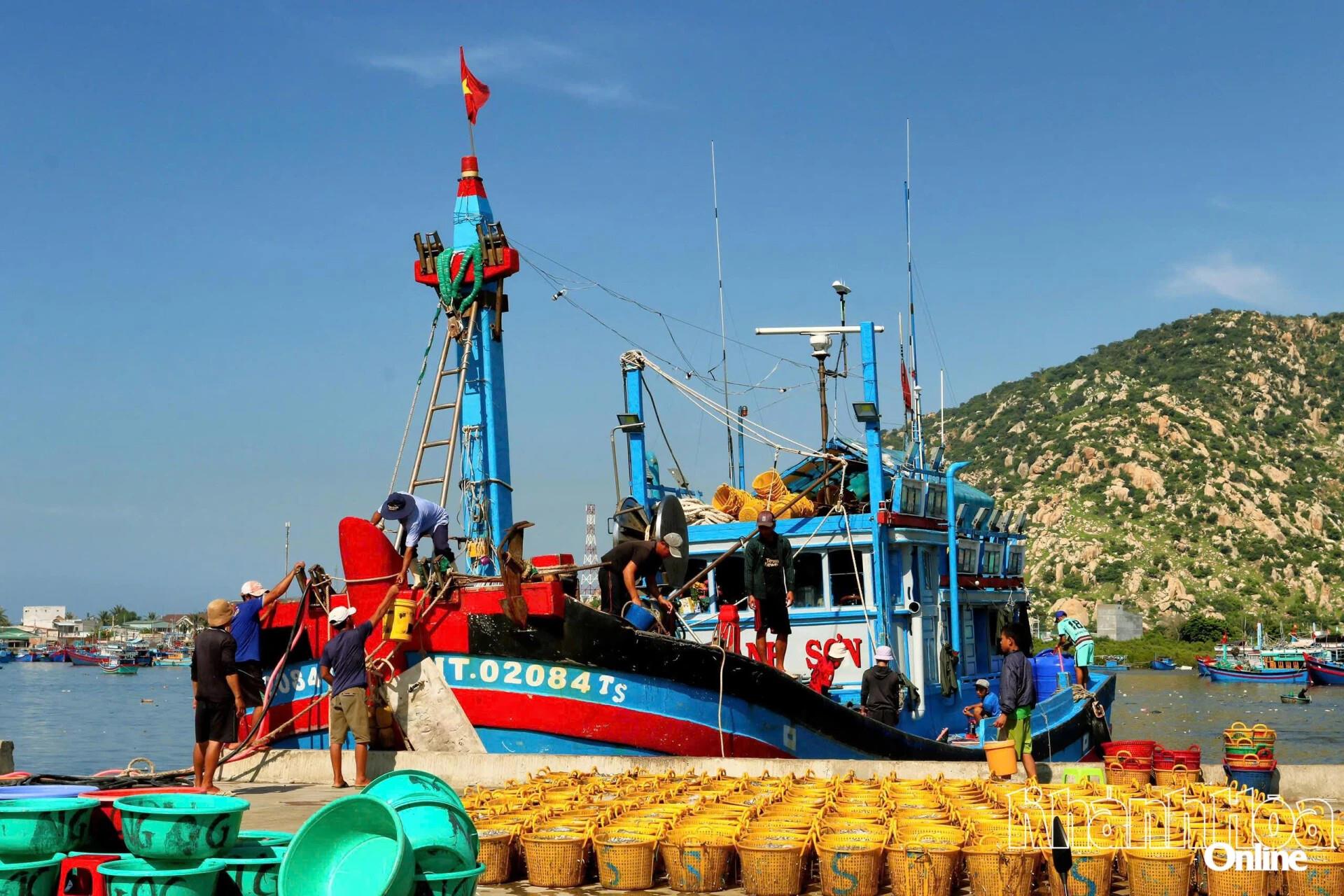 Khánh Hòa triển khai các nhiệm vụ trọng tâm theo Chỉ thị số 06/CT-TTg của Thủ tướng Chính phủ