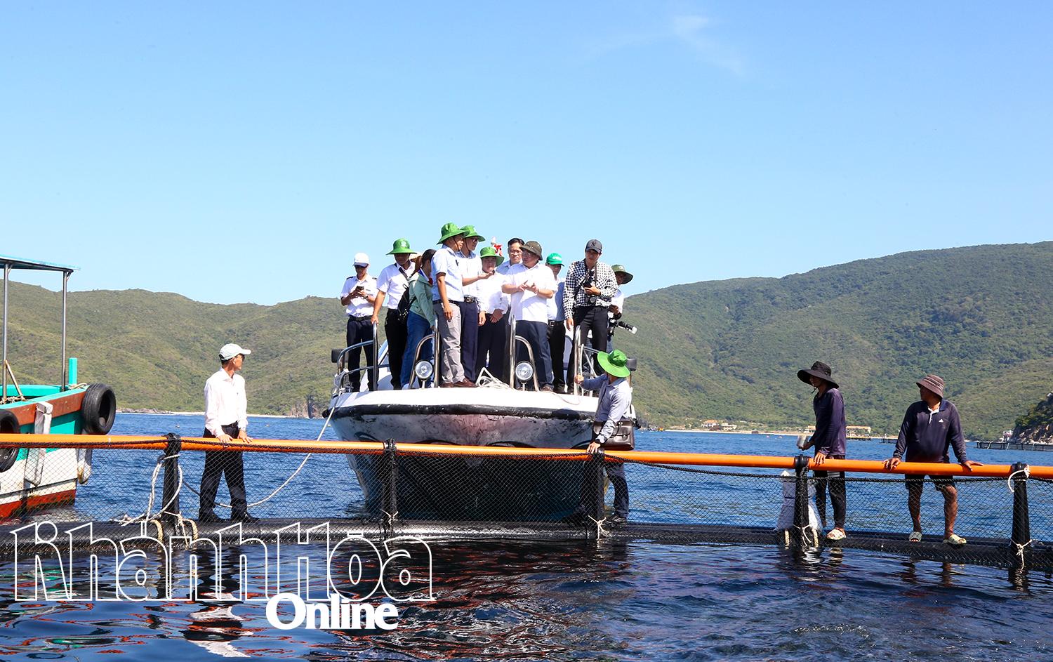 Tập trung thực hiện Đề án thí điểm phát triển nuôi biển công nghệ cao 