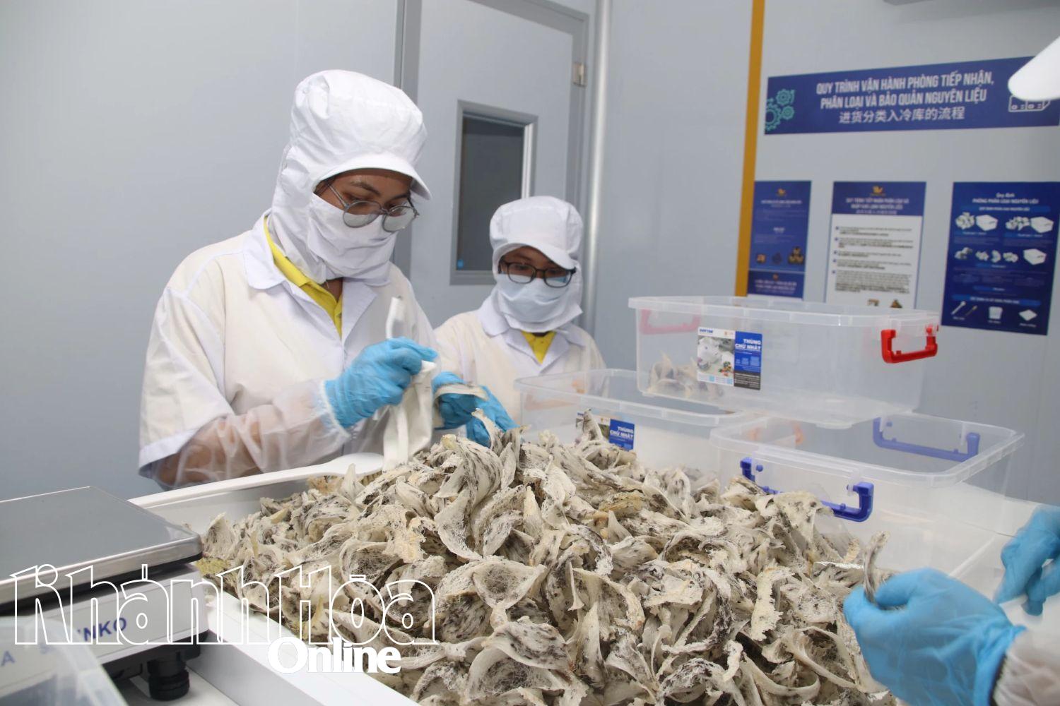 "Bệ phóng" cho kinh tế tư nhân - Kỳ 1: Những “điểm nghẽn” cần khơi thông